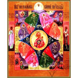 Икона Богородицы «Неопалимая Купина» 19