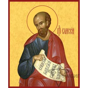 Икона «Святой пророк Елисей» 4