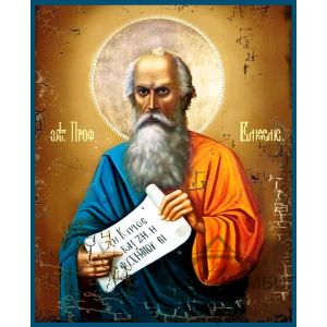 Икона «Святой пророк Елисей» 11