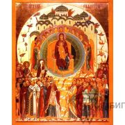 Икона Божией Матери «О тебе радуется» 5