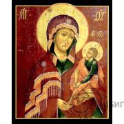 Икона Богородицы «Одигитрия Шуйская» 8