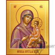 Икона Богородицы «Одигитрия Югская» 9