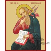 Икона «Святой апостол Иоанн Богослов» 10