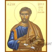 Икона «Святой апостол Иаков Зеведеев» 12