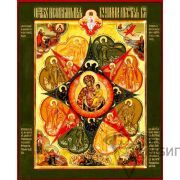 Икона Богородицы «Неопалимая Купина» 11