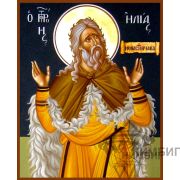 Икона «Святой пророк Илия» 10