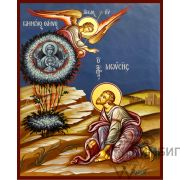 Икона «Святой пророк Моисей и Неопалимая Купина» 1