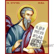 Икона «Святой пророк Исаия» 10