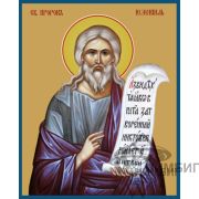 Икона «Святой пророк Иезекииль» 7