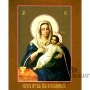 Икона Богородицы «Козельщанская» 17