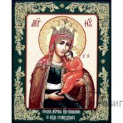 Икона Богородицы «Избавление от бед страждущих» 13